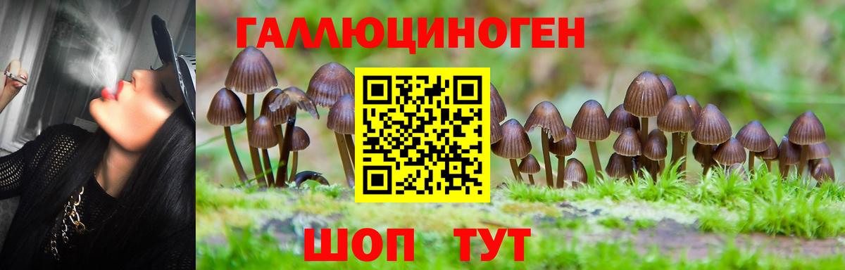 Волжск  Псилоцибиновые грибы мицелий  Вход с VPN 